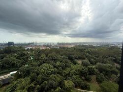 Normanton Park (D5), Apartment #523784341